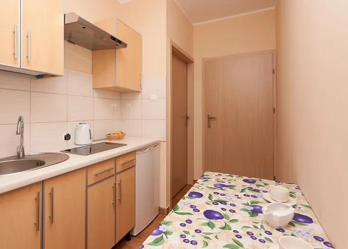 팜스테이 Dom Noclegowy „pod Mnichem” *